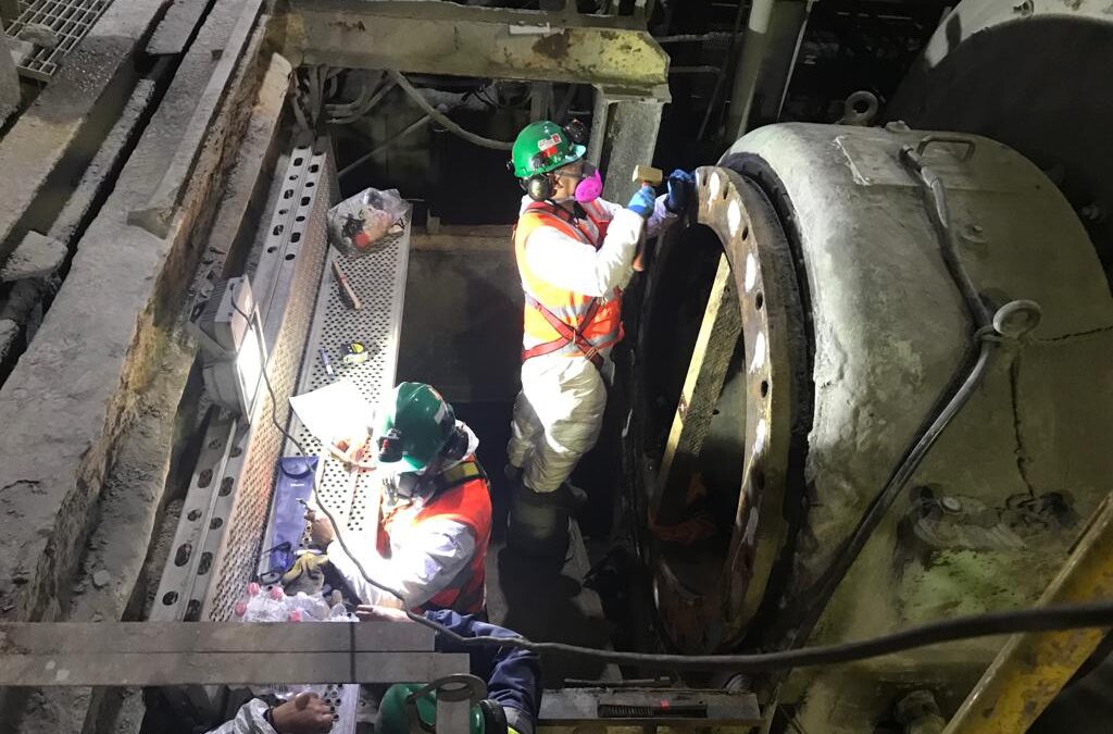 TRABAJOS EN TERRENO
