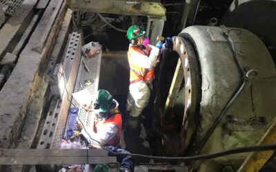 TRABAJOS EN TERRENO